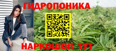 ГАЛЛЮЦИНОГЕННЫЕ ГРИБЫ Кимры