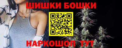 твердый Кингисепп