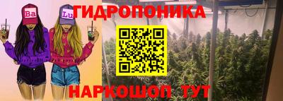 ГАЛЛЮЦИНОГЕННЫЕ ГРИБЫ Кимры