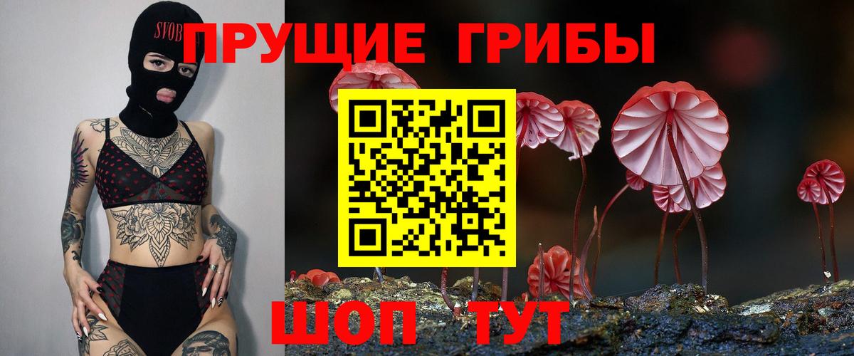 Псилоцибиновые грибы Psilocybe  Вход с VPN  где продают   Курчатов 